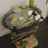 Frühlingserwachen im Vogelnest